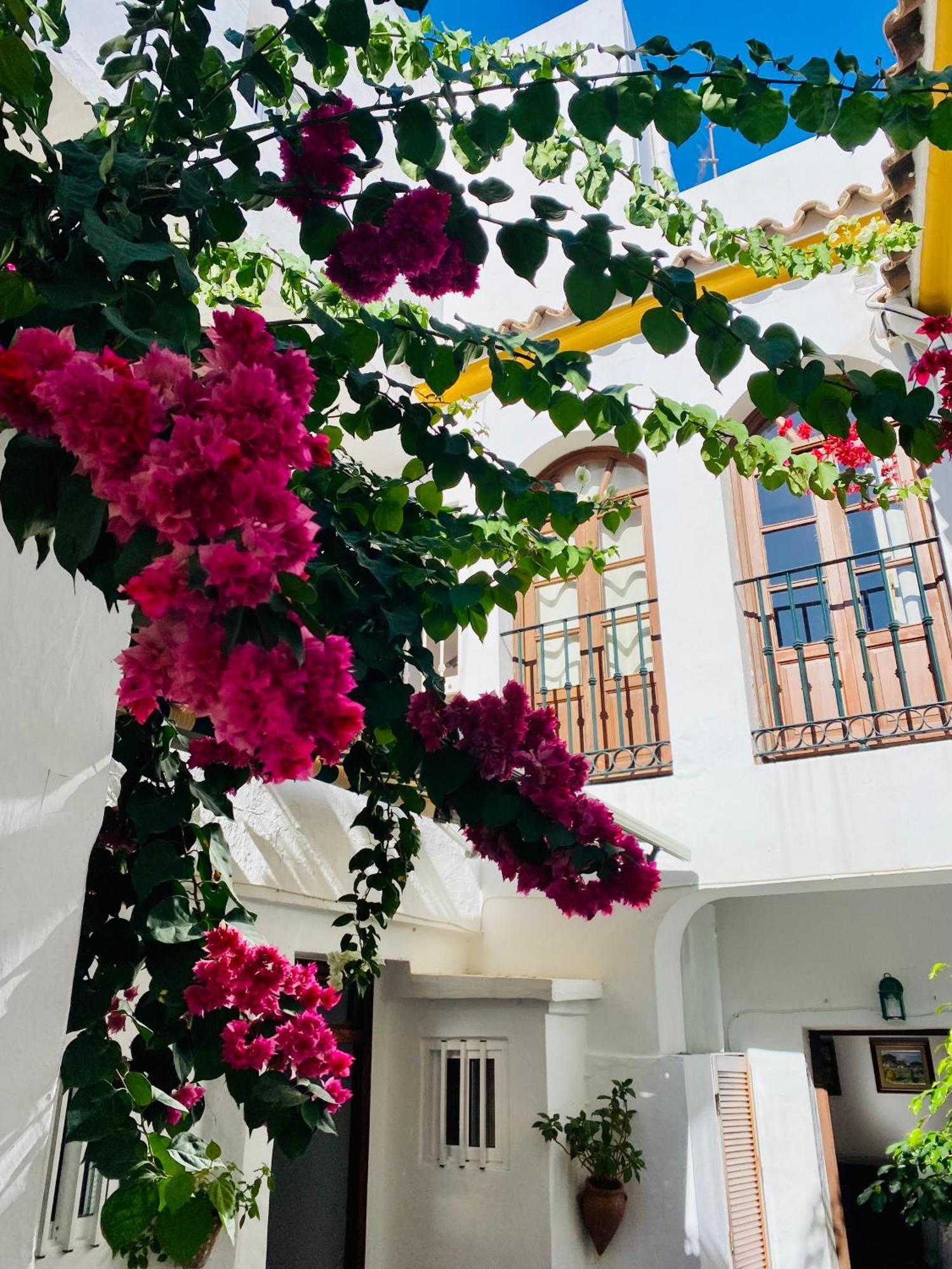 Tarifa Townhouse Διαμέρισμα Εξωτερικό φωτογραφία
